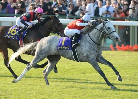 競馬】有馬記念、一番人気のゴールドシップは本当に狙える馬か!? | web